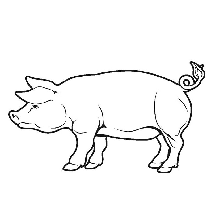 Normal Pig 3 Coloring Game Normal Pig 3