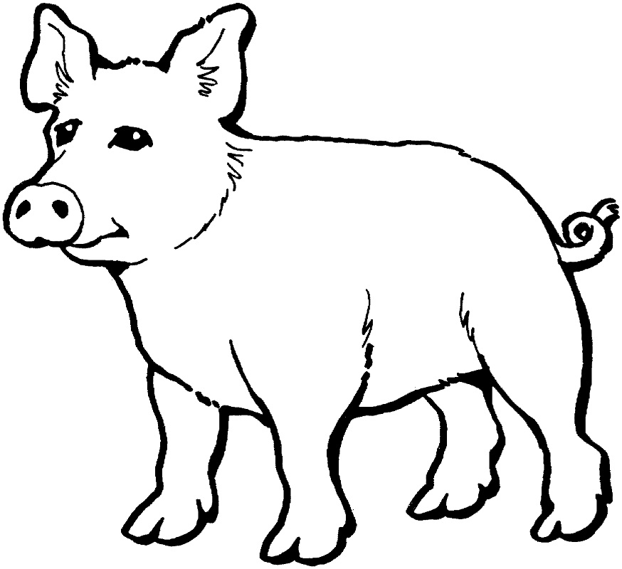 Normal Pig Coloring Game Normal Pig