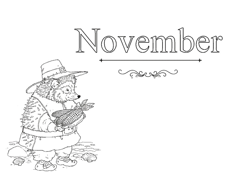 November 5