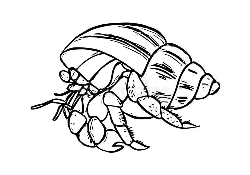 Ocean Hermit Crab Coloring Game Ocean Hermit Crab