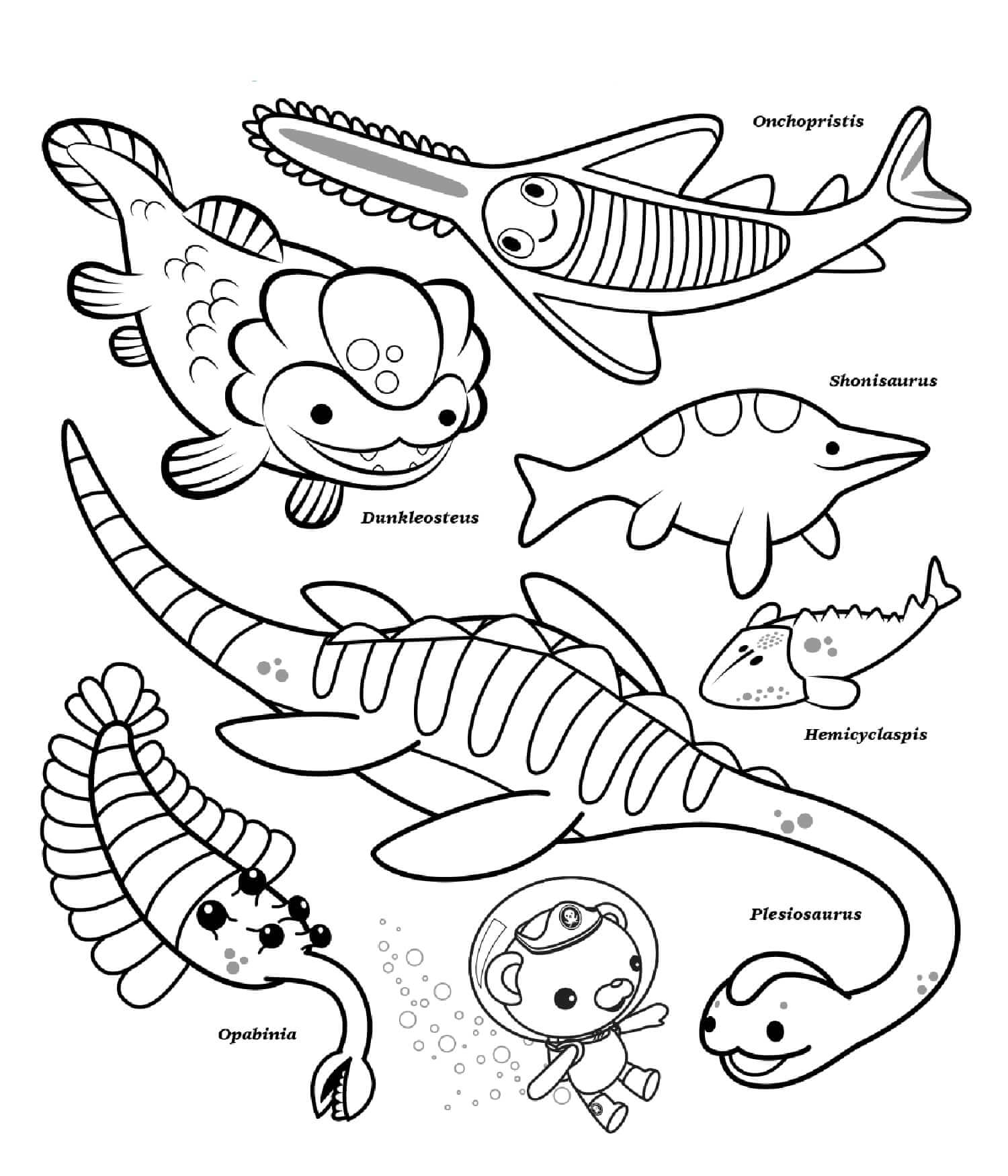 Octonauts Ocean Creatures Coloring Game Octonauts Ocean Creatures