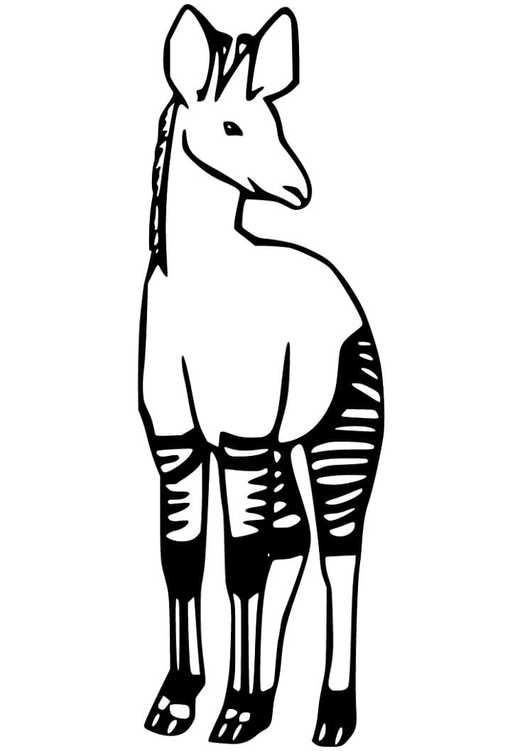 Okapi 1