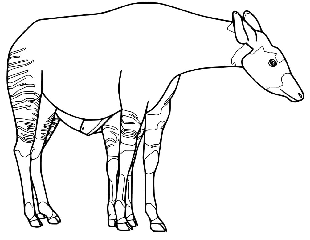Okapi 2