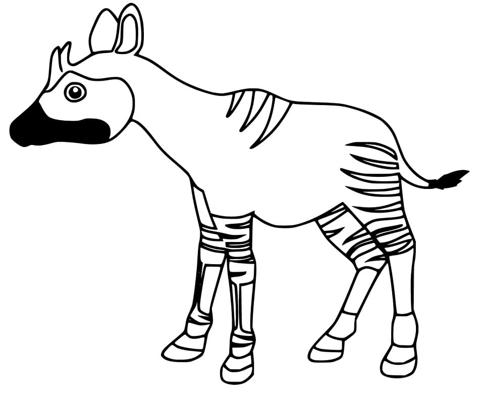 Okapi 3