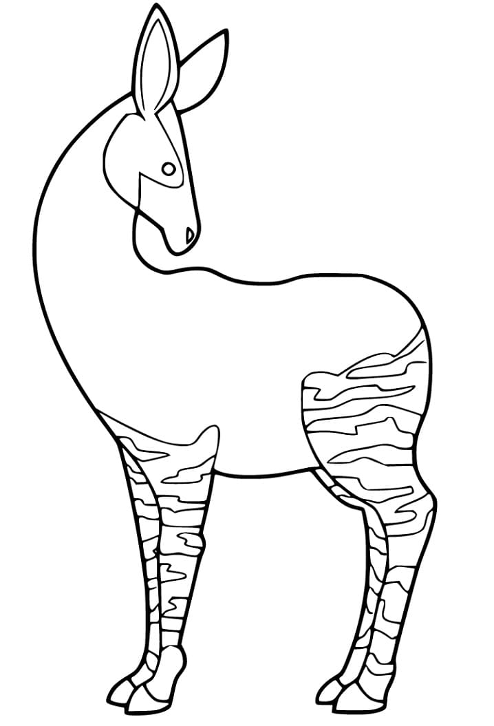 Okapi 4