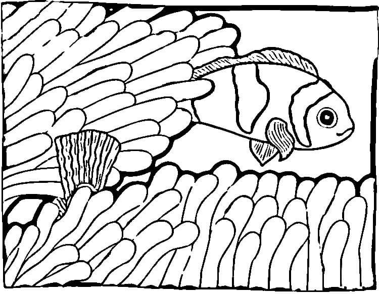 One Clownfish Coloring Game One Clownfish