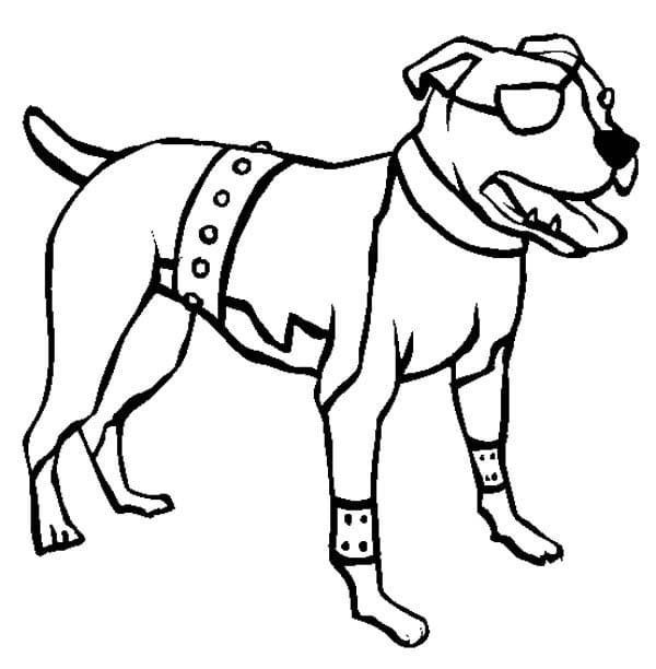 One-Eyed Pitbull Coloring Game One-Eyed Pitbull
