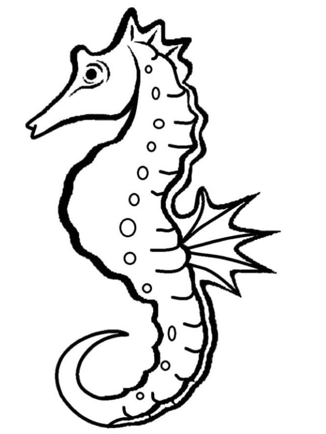 Realistic Seahorse Coloring - Play Free Coloring Game Online