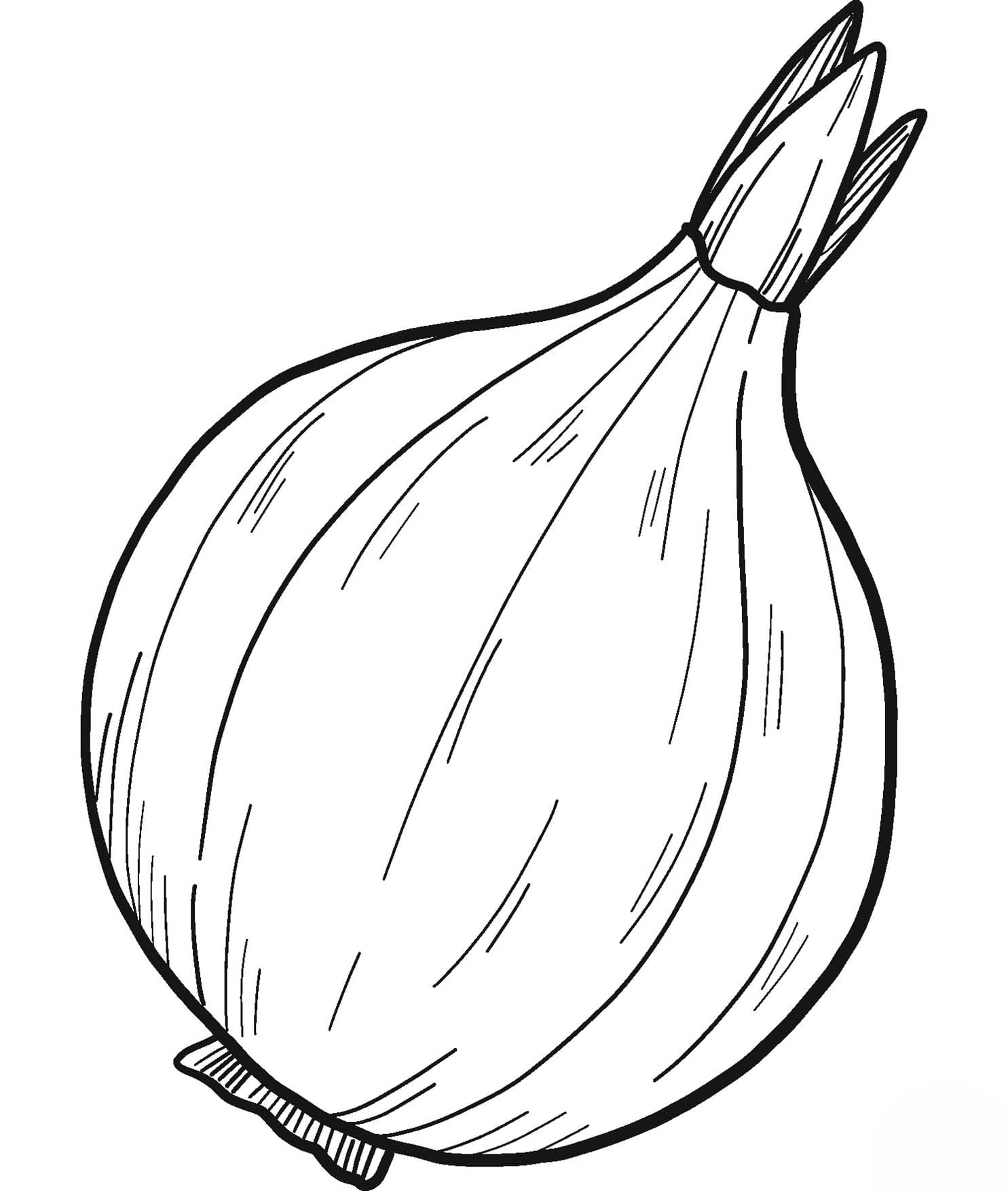 Onion free printable
