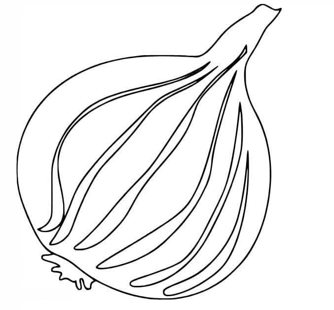 Onion printable