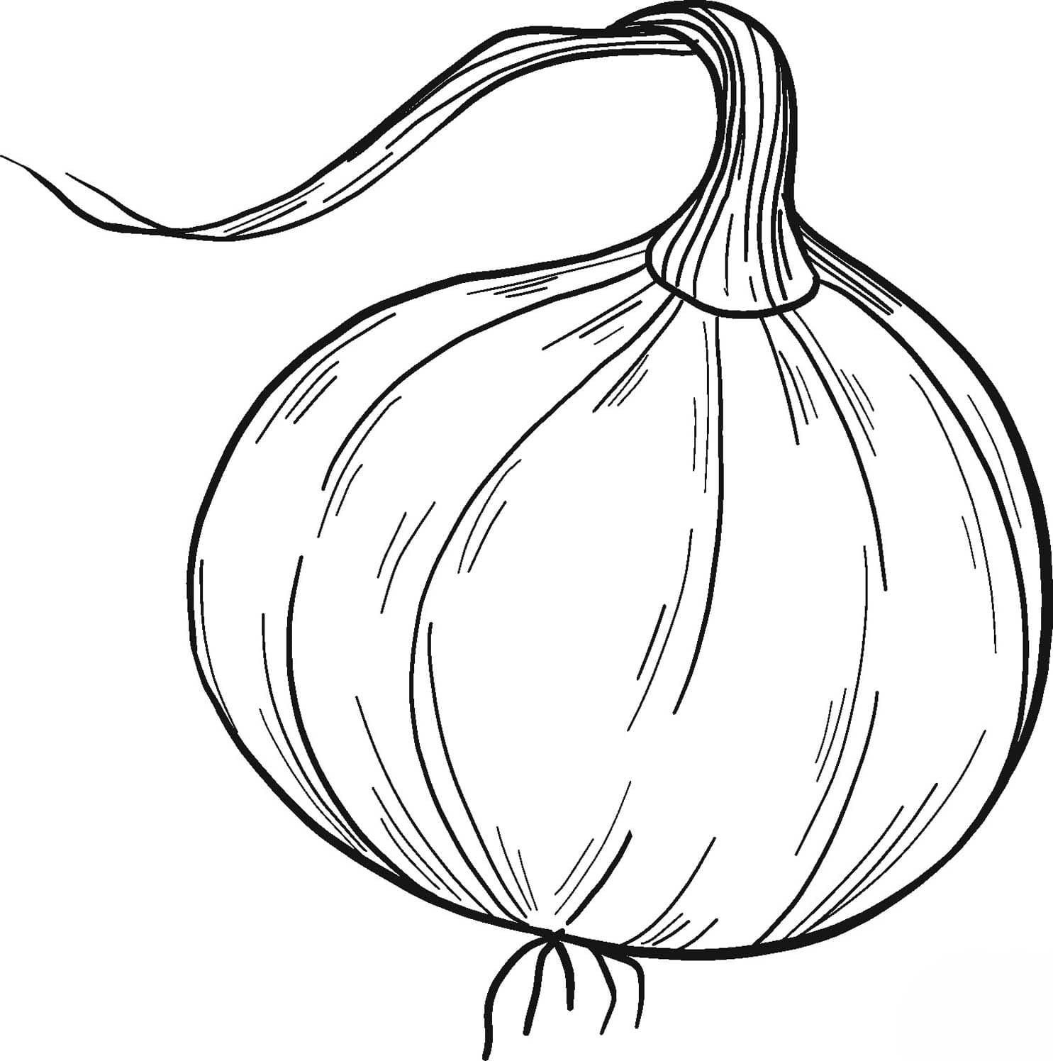 Onion simple