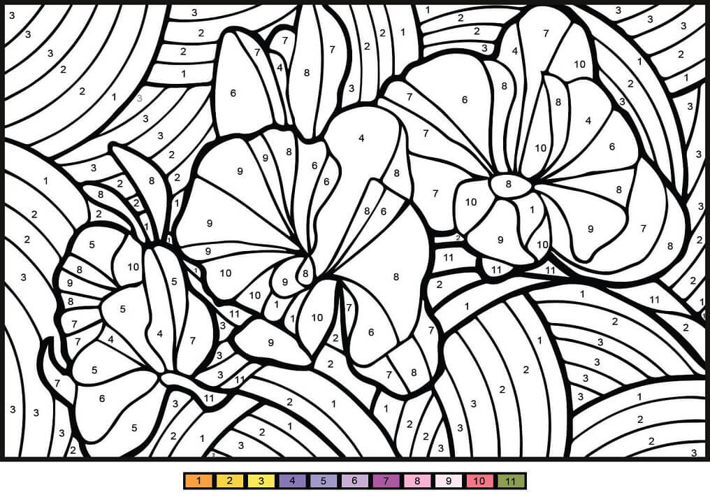 Orchid Color by Number