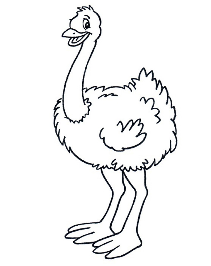 Angry Ostrich Coloring - Play Free Coloring Game Online