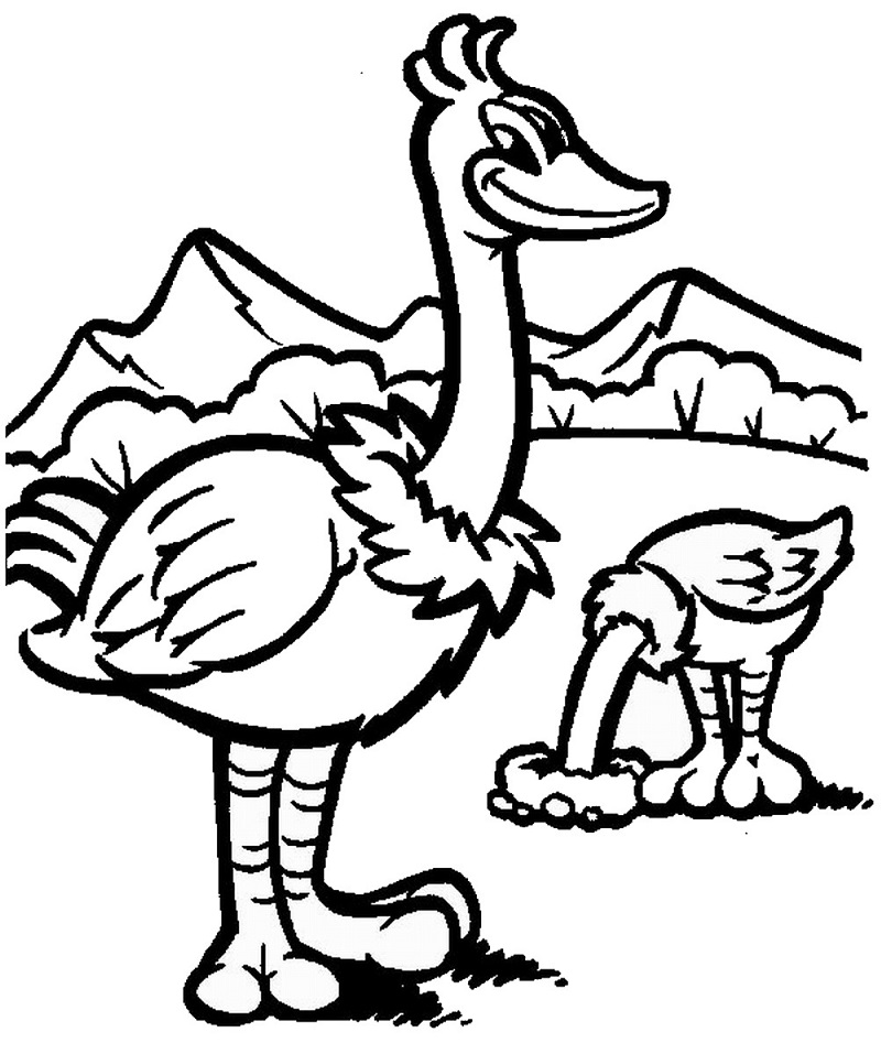 Animals Coloring Games