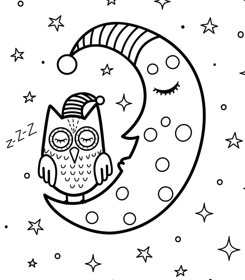 Owl and Moon