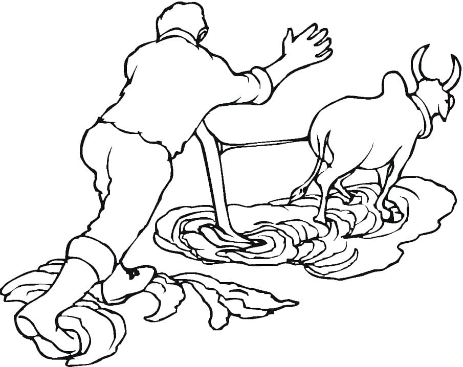 Ox Pulling a Plow