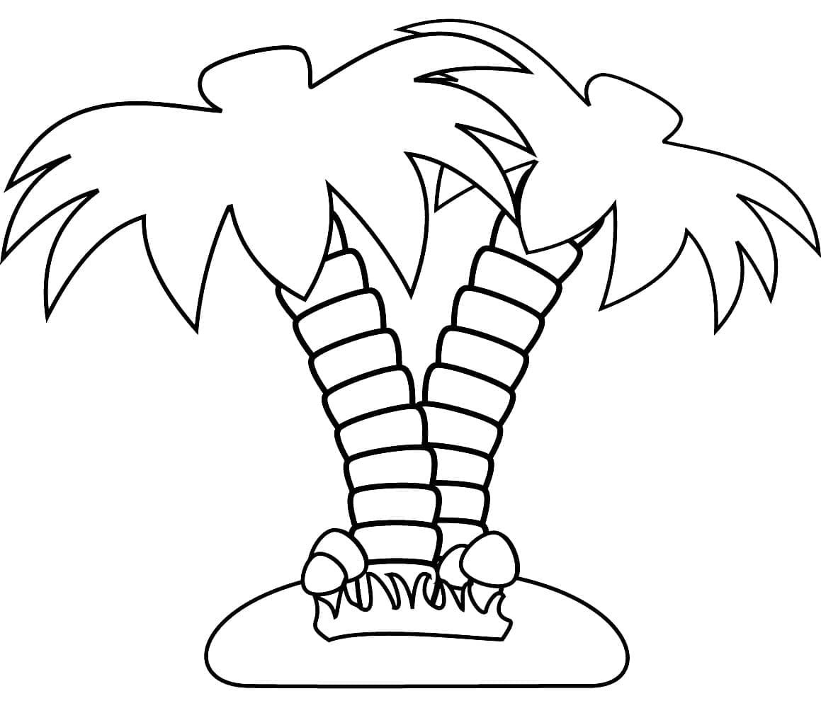 Palm Tree