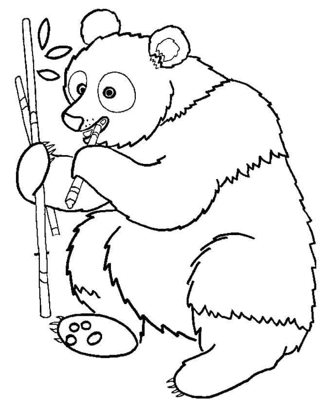 Panda Printable Coloring Game Panda Printable