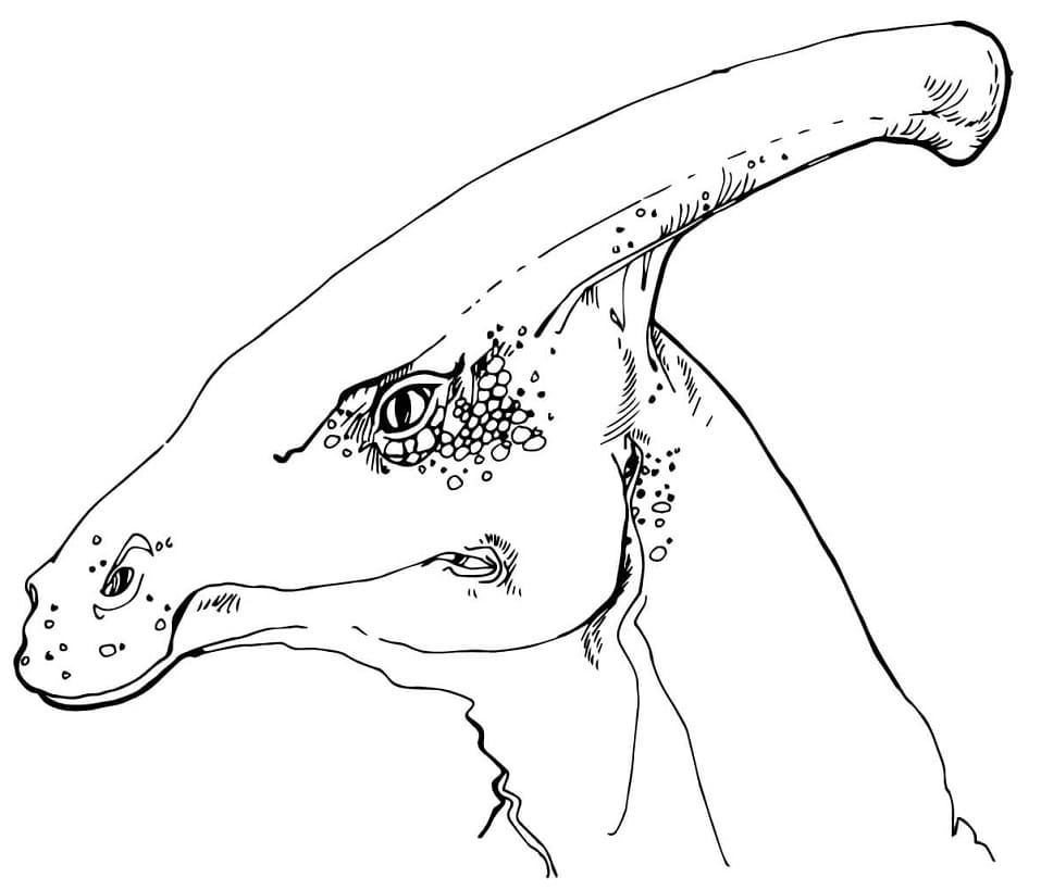 Parasaurolophus Head Coloring Game Parasaurolophus Head