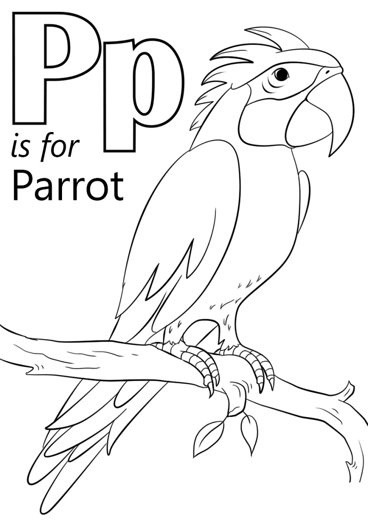 Parrot Letter P