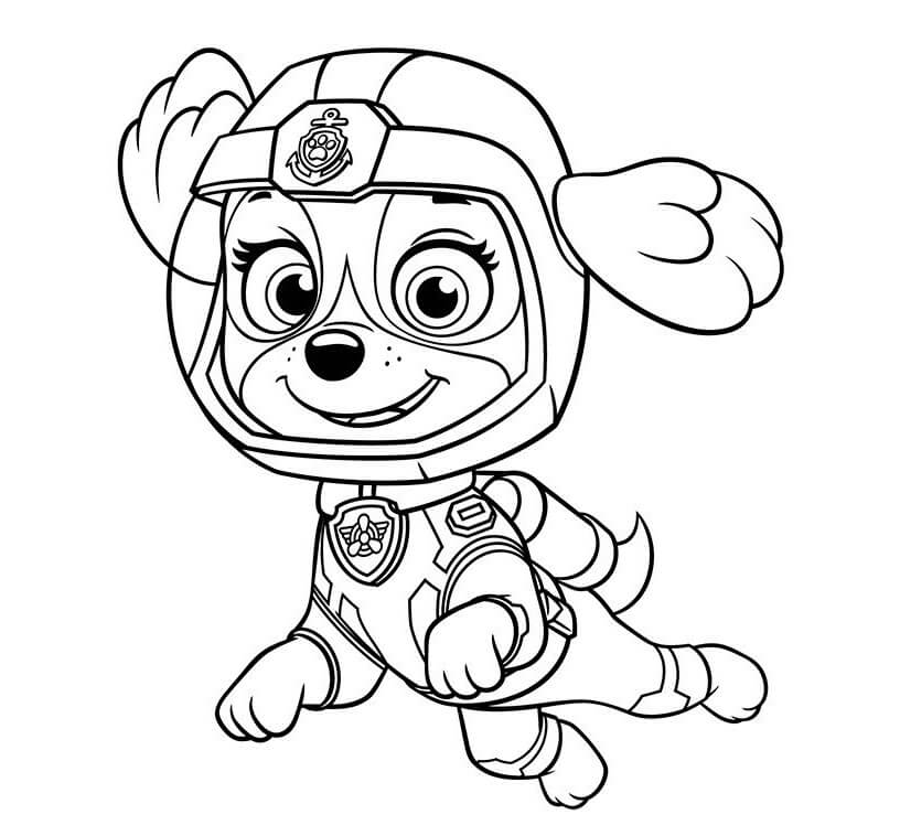 Paw Patrol Skye 1