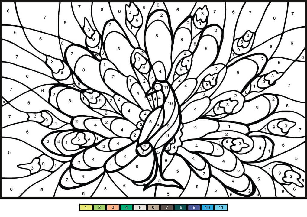Peacock Color by Number