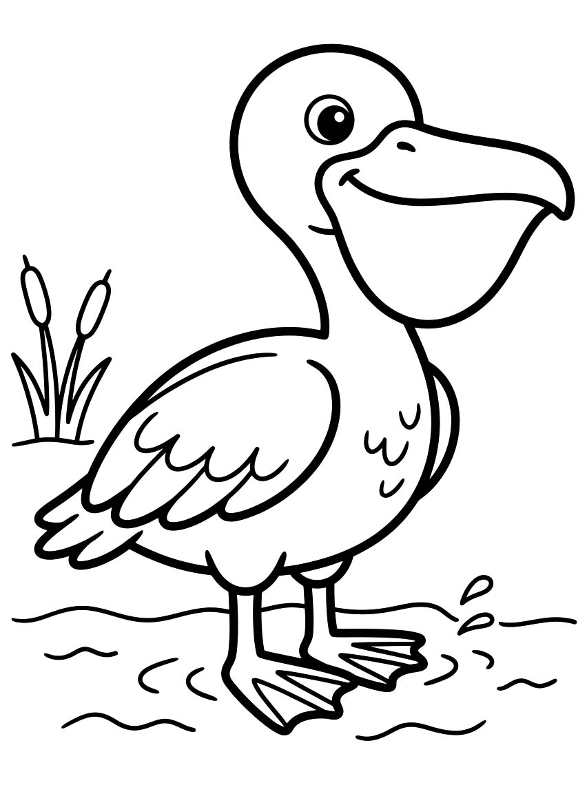 Pelican Basic
