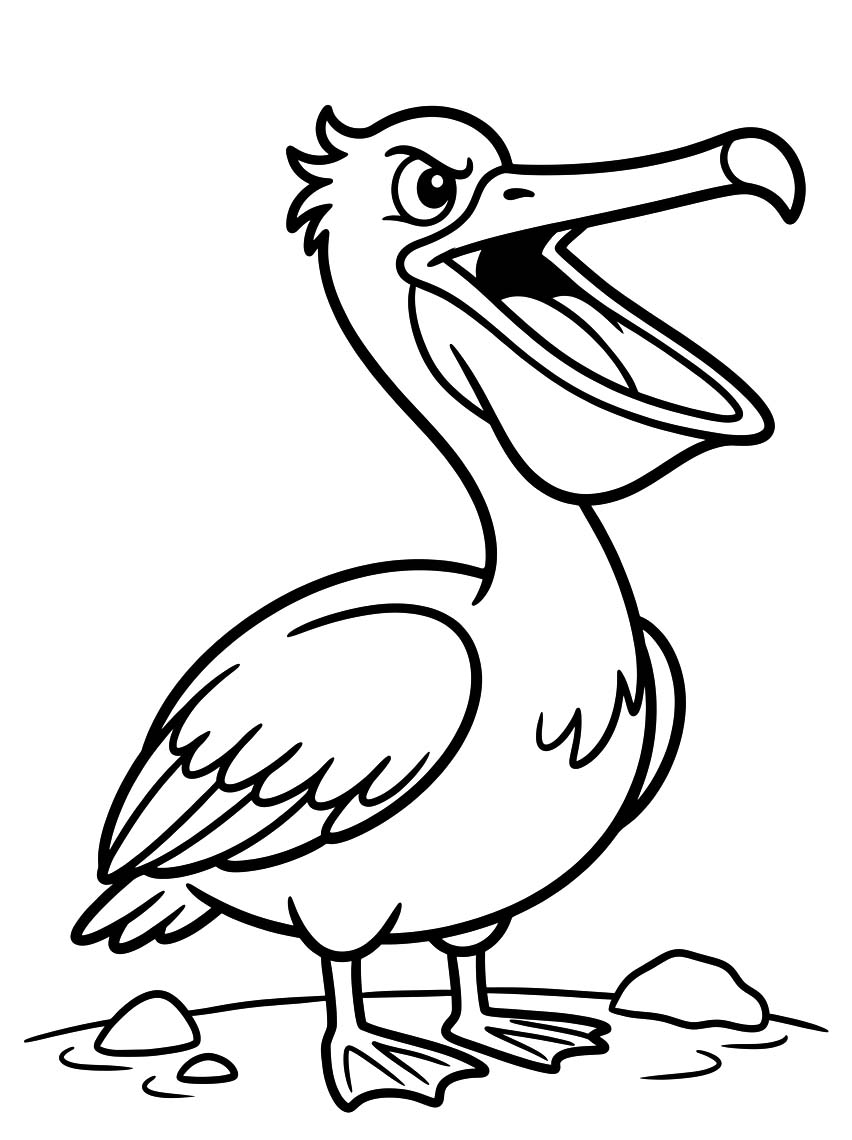 Pelican Free