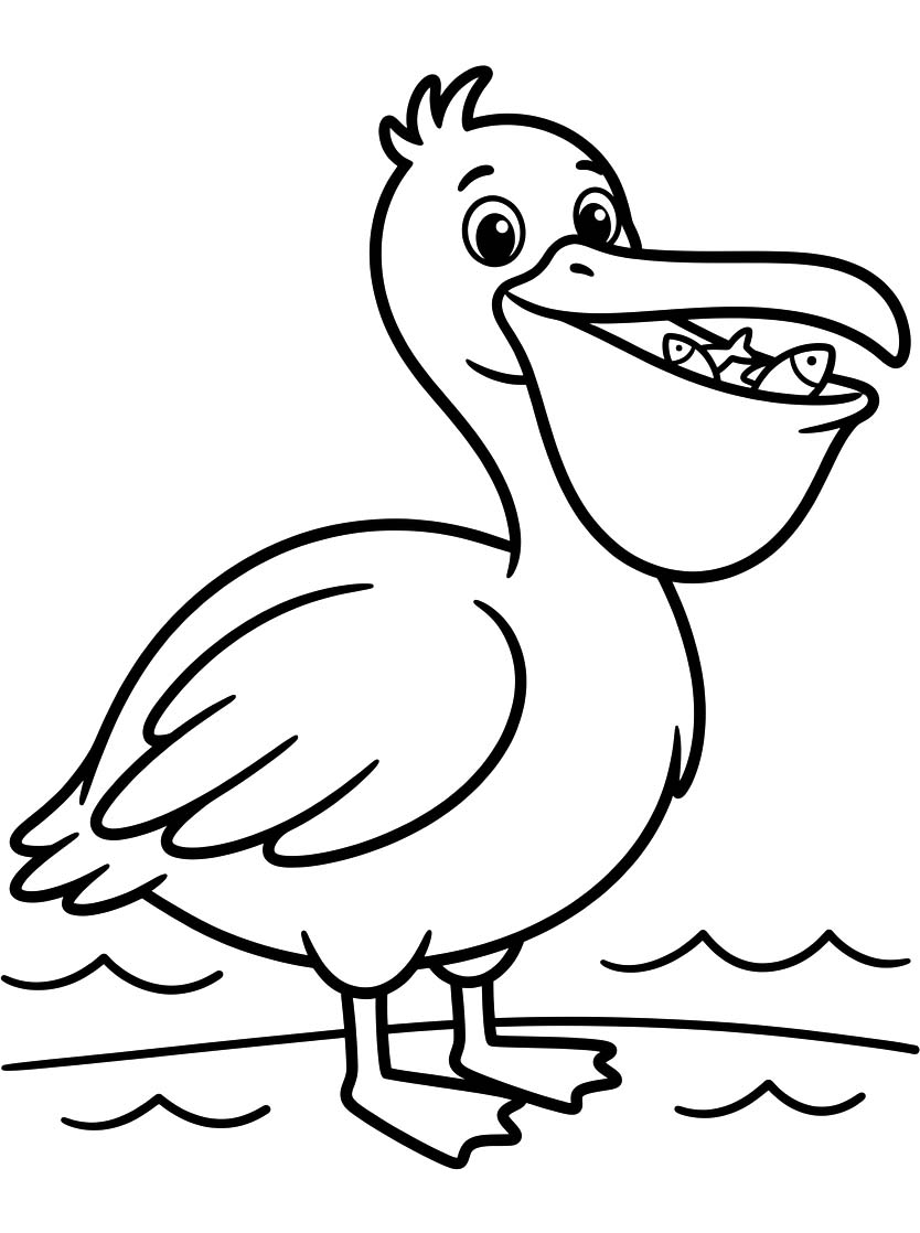Pelican Printable