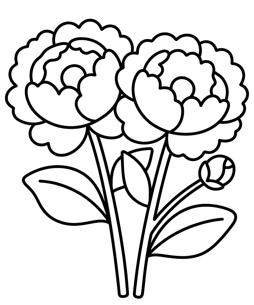 Peony Basic