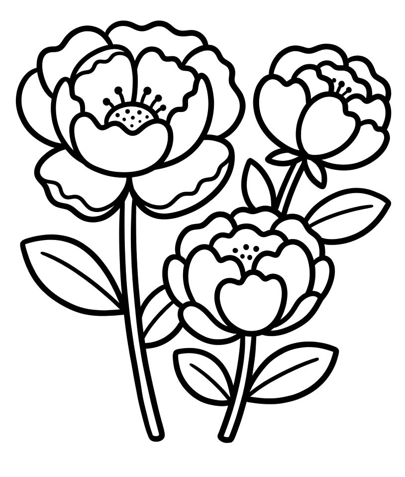 Peony Printable
