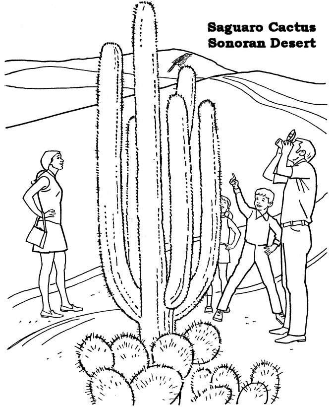 People in the Desert Coloring Game People in the Desert