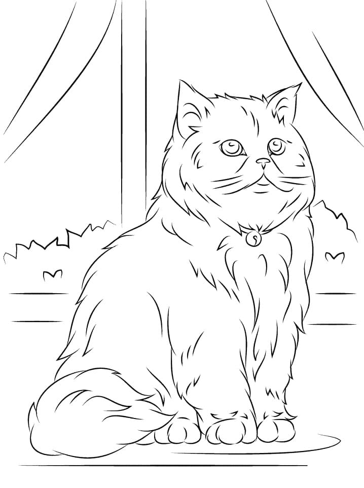 Persian Cat Coloring Game Persian Cat