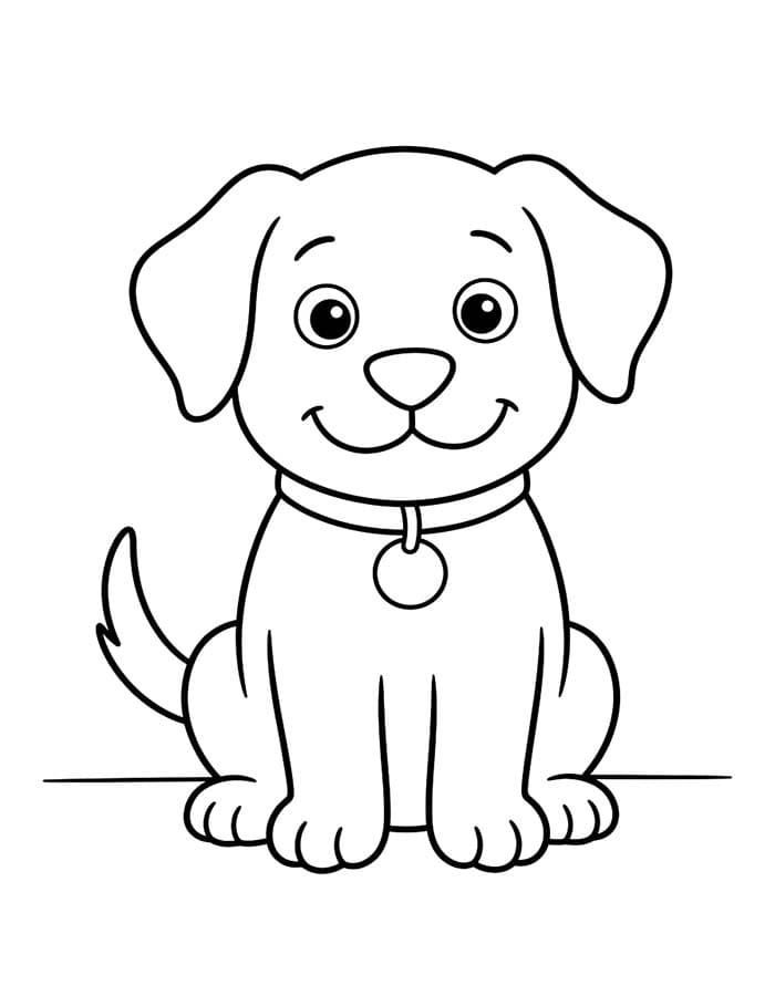 Pet Simple