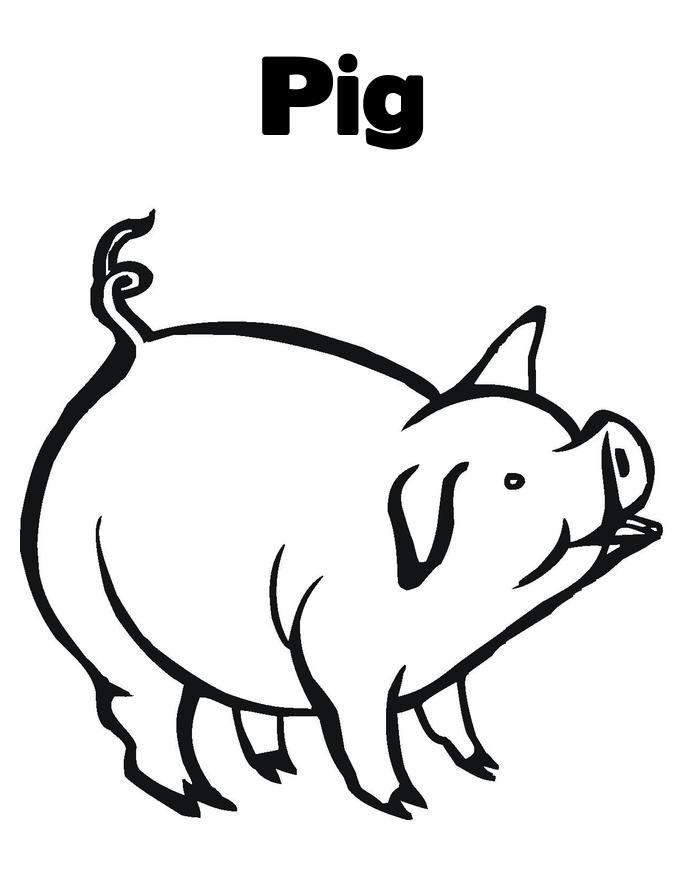 Pig 1 Coloring Game Pig 1