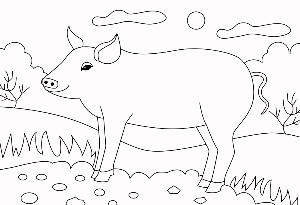 Pig 3 Coloring Game Pig 3