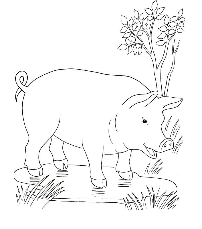 Pig In The Puddle Coloring Game Pig In The Puddle