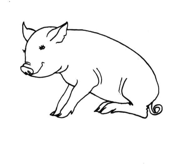 Pig Is Sitting Coloring Game Pig Is Sitting