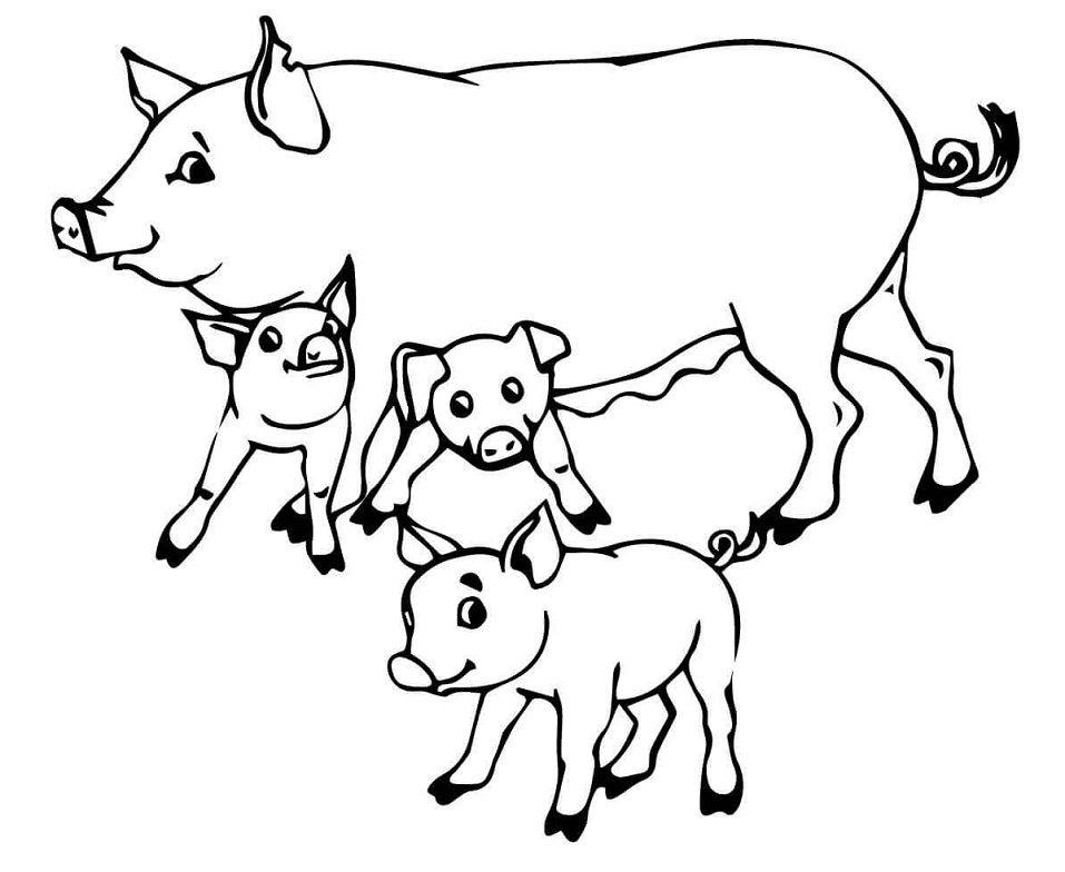 Pig Mother and Baby Pigs Coloring Game Pig Mother and Baby Pigs
