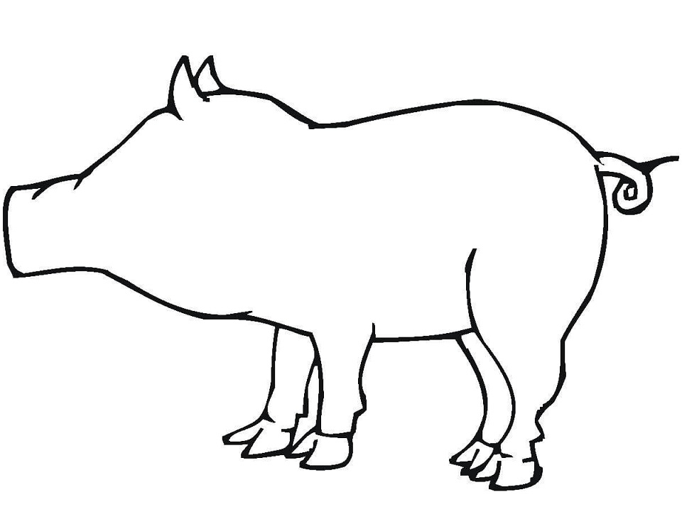 Pig Outline Coloring Game Pig Outline
