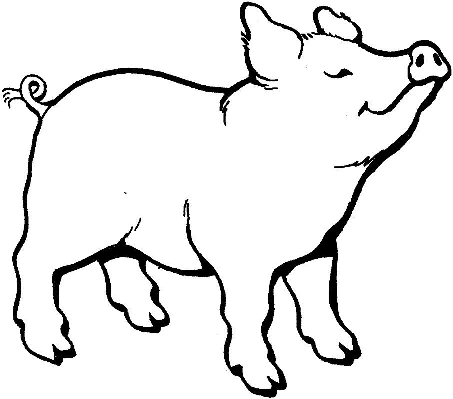 Pig Smells Something Coloring Game Pig Smells Something