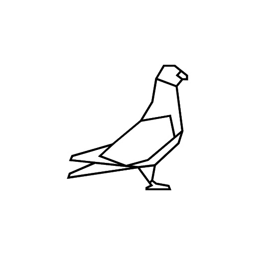 Pigeon 12
