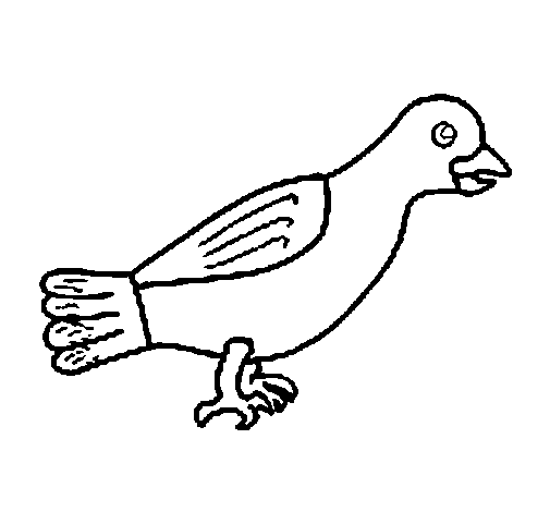 Pigeon 13 Coloring Game Pigeon 13