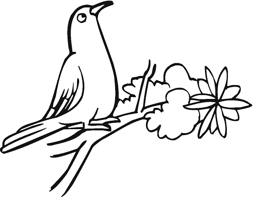 Pigeon 14 Coloring Game Pigeon 14