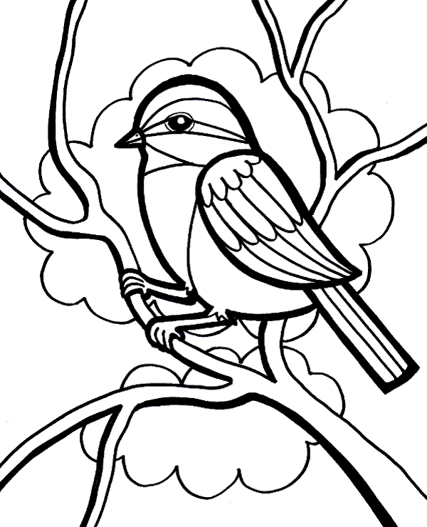 Pigeon 15 Coloring Game Pigeon 15