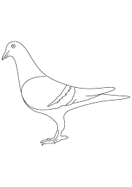 Pigeon 4 Coloring Game Pigeon 4