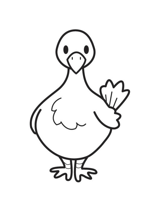Pigeon 5 Coloring Game Pigeon 5