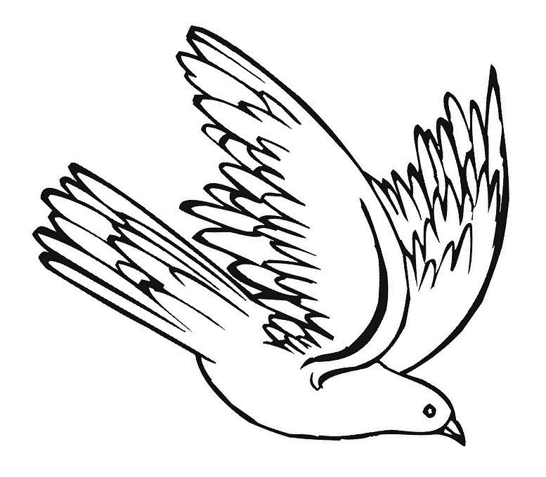 Pigeon 7 Coloring Game Pigeon 7