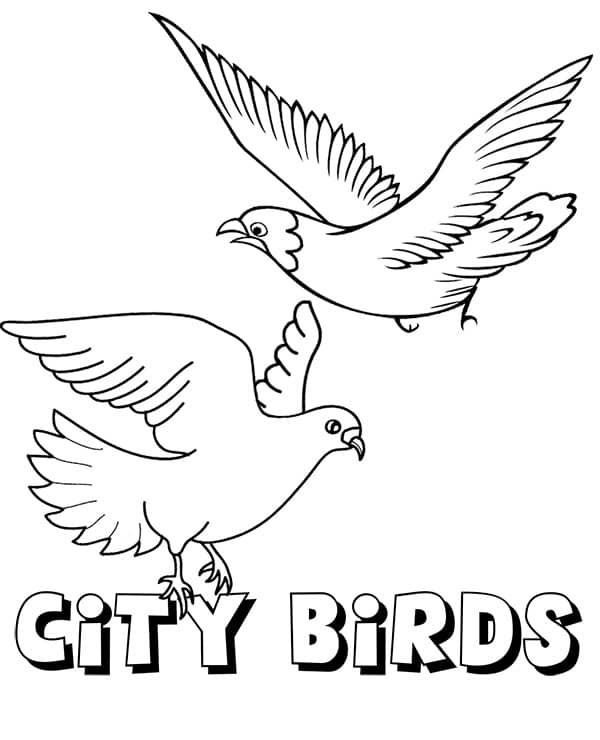 Pigeon 9 Coloring Game Pigeon 9
