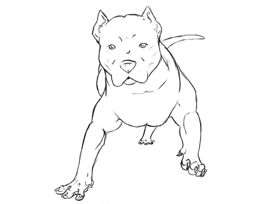 Pitbull Dog 1 Coloring Game Pitbull Dog 1